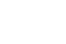 ANA Logo_white