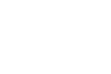 NPGA Logo_white