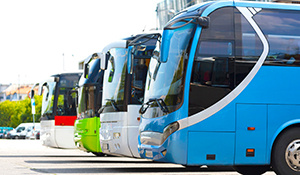 Tour buses parked in a line