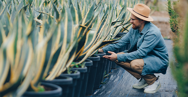 Tierra Group Case Study Header Image