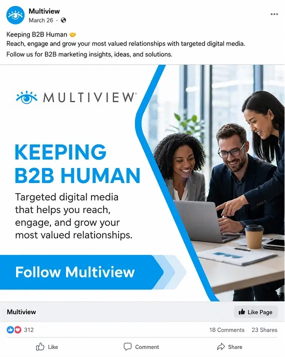 MultivewSocialAds_Page Likes 1